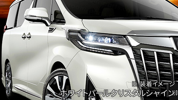 アルファード30系】ヘッドライトガーニッシュ for NORMAL BODY