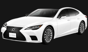 LS