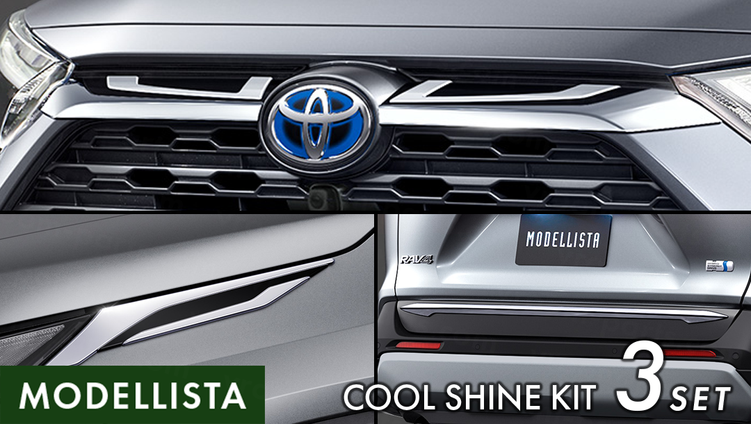 MODELLISTA RAV4 (50系) サイドスカート RAV4(50系)】サイドスカート – VROOM