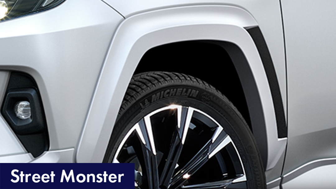 【RAV4（50系）】オーバーフェンダー（ボディ色）