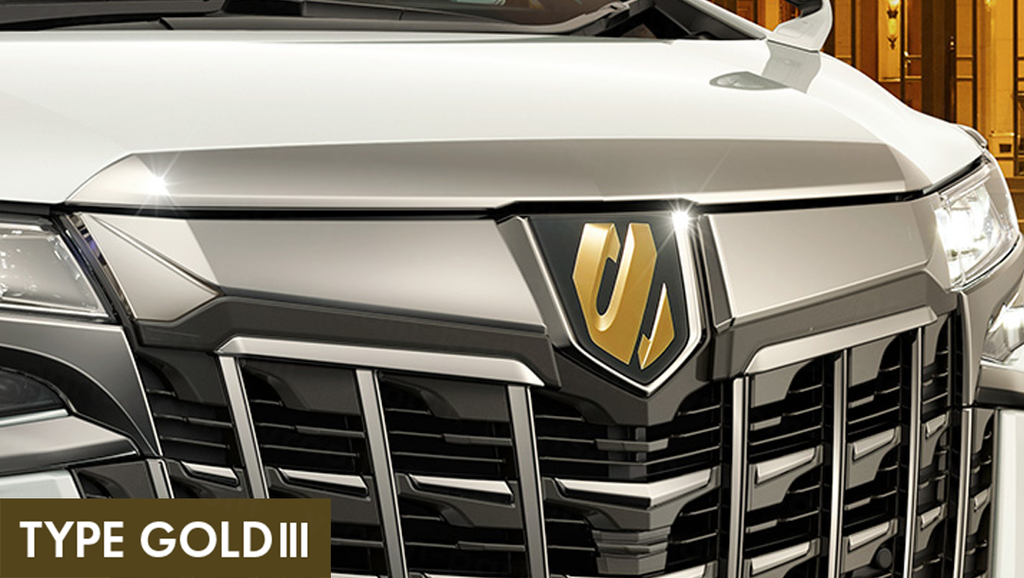 アルファード グリル メッキ ガーニッシュ グリルカバー F110 アルファード グリル メッキ ガーニッシュ グリルカバー F110